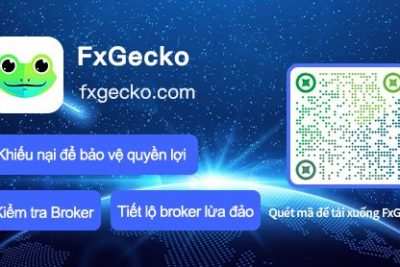APP FXGecko – Ứng Dụng Tra Cứu Thông Tin Forex Broker Chính Xác